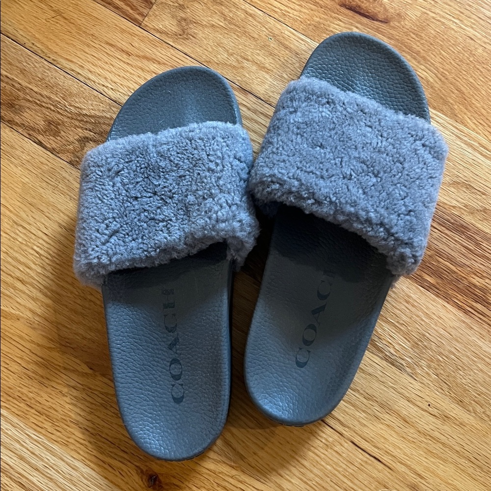 Coach Fuzzy Gray Slide Sandals